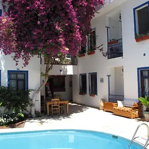 dalyando-hotel-apartments.aegeanhotels.net/